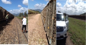 ひとふでがき世界一周の旅