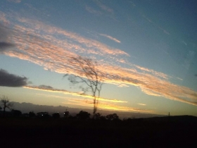 ひとふでがき世界一周の旅