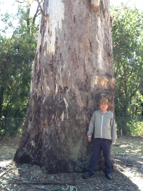 ひとふでがき世界一周の旅