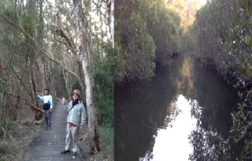 ひとふでがき世界一周の旅