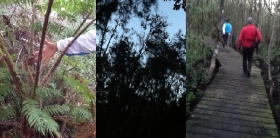 ひとふでがき世界一周の旅